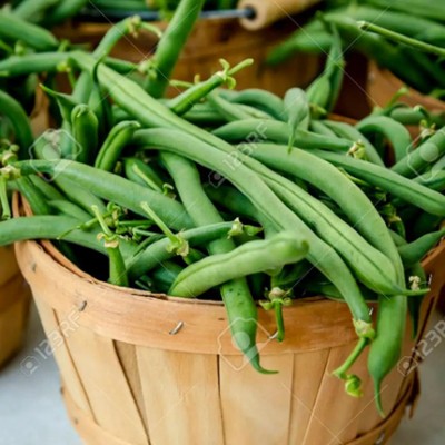 PMA Beans Seed, Organic Vegetable Seed, Bean Hybird , Beans Gardening Veg Seed(35 per packet)