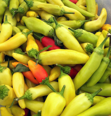 CYBEXIS Hybrid Hungarian YELLOW WAX HOT Chilli Seeds600 Seeds Seed(600 per packet)
