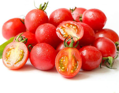 CYBEXIS Tomato Seed(1000 per packet)