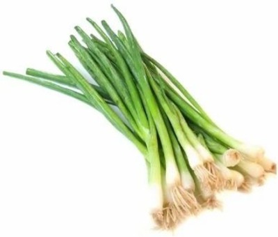 XOLDA Organic bunching onion Seed(28 per packet)