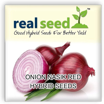Cloud Farm ® Onion Nasik Red Hybrid Vegetable Seeds-100 Seed Seed(100 per packet)