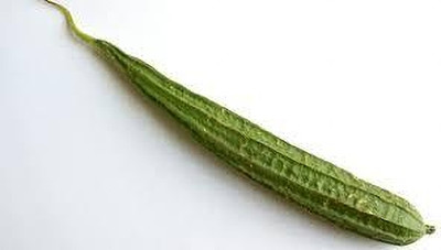XOLDAA FI QUALITY RIDGE GOURD Seed(13 per packet)