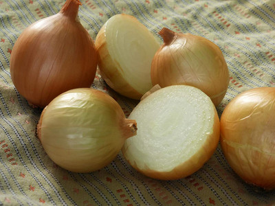 CYBEXIS Organic White Onion Seeds1000 Seeds Seed(1000 per packet)
