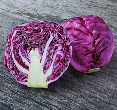 WILLVINE VNR -I Red Cabbage Vegetable Seeds [10g] Seed(3000 per packet)