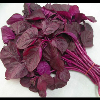 Cloud Farm Lal Saag/ Red Spinach, Red Amaranthus Seed Seed(300 per packet)