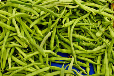 XOLDAA CLUSTER BEANS SEEDS Seed(30 per packet)