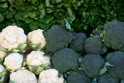 gelunix white cauliflower,gobhee seeds Seed(13 per packet)