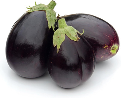 KNESSiN Early-Maturing Vegetable Brinjal Jackpot Seed (400 Seeds) Seed(400 per packet)