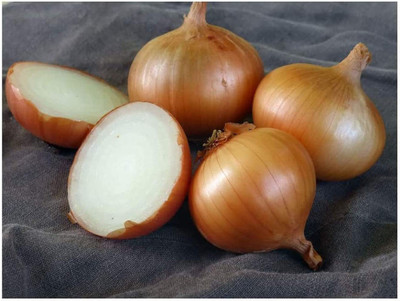 VibeX ® LXI-486 Onion Long-Day Walla Walla Sweet(Yellow) Seed(1000 per packet)