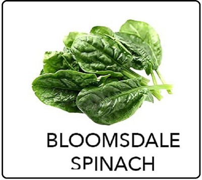 CYBEXIS Bloomsdale Spinach2000 Seeds Seed(2000 per packet)