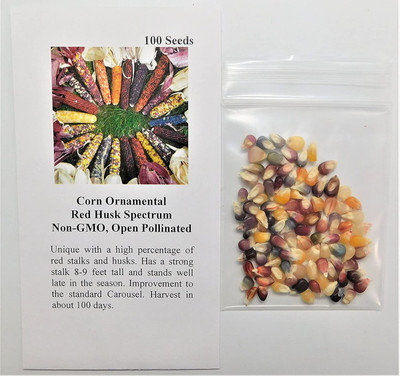 VibeX ® LXI-264 Corn Ornamental Red Husk Spectrum Seed(500 per packet)