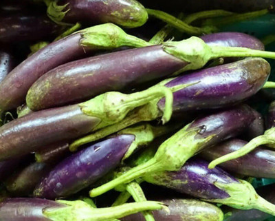Avysa Brinjal Seed(3500 per packet)