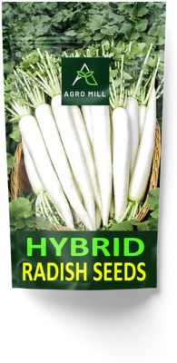 AGRO MILL ORGANIC RADISH/MOOLI/MULLANGI HYBRID F1 PREMIUM QUALITY FOR HOME KITCHEN GARDEN Seed(5 g)