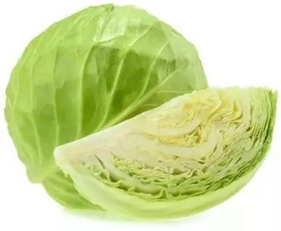 MYLAWN Green Cabbage Seed(500 per packet)