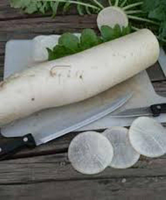 Qualtivate PUAS-3A Radish Japanese Minowase Seed(300 per packet)