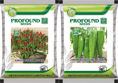 WILLVINE GBPUT -XIII Combo of F1 Hybrid Chilli Surya, Chilli Achari[1gm, 200 Seeds] Seed(200 per packet)
