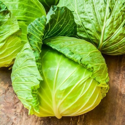 nesto Cabbage Vegetable Seeds Seed(250 per packet)