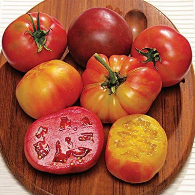Qualtivate HUA-6A Rainbow Blend Heirloom Tomato Seed(300 per packet)
