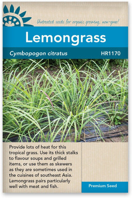 VibeX ® VXI-156 Lemon Grass Mosquito Repellent Plant Seed(500 per packet)