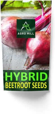 AGRO MILL HYBRID F1 PREMIUM QUALITY BEETROOT/GARDEN BEET/CHUKANDER FOR HOME KITCHEN GARDEN Seed(30 per packet)