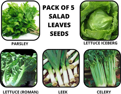 CYBEXIS 5 Varities Leafy Vegetable Combo Seed(10 g)