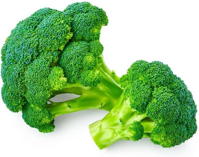 WILLVINE MAH -IV High Germination Waltham 29 Broccoli Seed [1g] Seed(300 per packet)