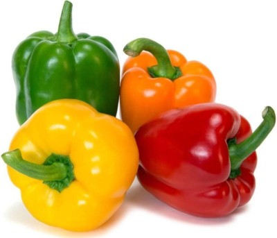 Qualtivate GBPT-8A Capsicum Rainbow Mix Seeds Seed(100 per packet)