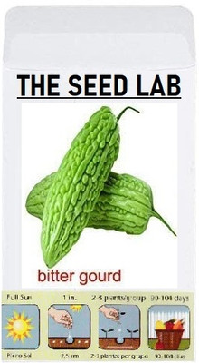 KNESSiN Bitter Gourd Seed(50 per packet)
