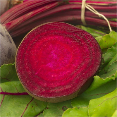 WILLVINE Beetroot Seed(200 per packet)