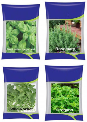 VibeX XLL-964- Rosemary, Oregano, Italian Basil, Wild Rocket Seed(50 per packet)