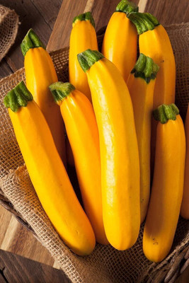 Qualtivate PUAS-470 Summer Squash Seeds Seed(100 per packet)