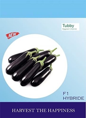 Qualtivate FXL-5AT TUBBY brinjal f1 hybrid vegetable Seed(300 per packet)