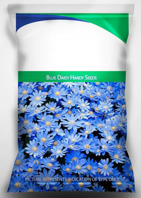 CYBEXIS LXI-73 - Blue Daisy Hardy - (60 Seeds) Seed(60 per packet)