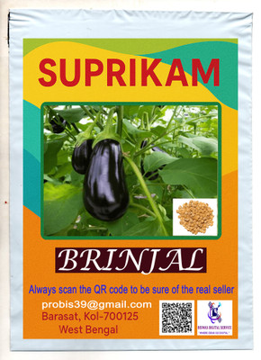 SUPRIKAM BIG SIZE MUKTOKESHI BRINJAL GROW IN YOUR GARDEN TO CREAT NATUTE BEAUTY Seed(12 per packet)