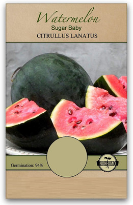 Qualtivate HYB-3A Sugar Baby Watermelon Seeds Seed(100 per packet)