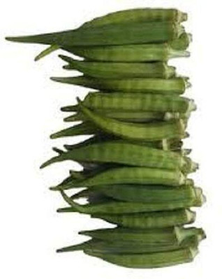 LPR LADY FINGER, (BINDI) Seed(30 per packet)