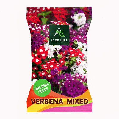 AGRO MILL VERBENA/VERVAIN MULTIFLORA MIXED PREMIUM QUALITY FLOWER Seed(50 per packet)