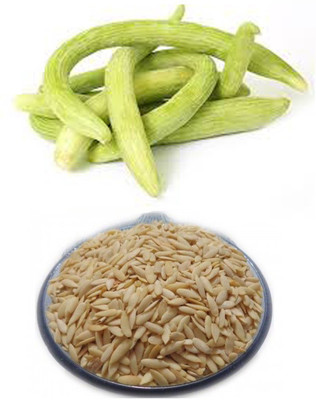 CYBEXIS NBIR-76 - Long Melon (Very Long) - (1350 Seeds) Seed(1350 per packet)
