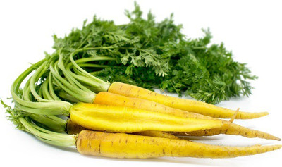 CYBEXIS YELLOW CARROT SEEDS1000 Seeds Seed(1000 per packet)