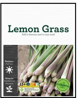 VibeX ® VMR-221 Lemon Grass (West Indian) Seed(500 per packet)