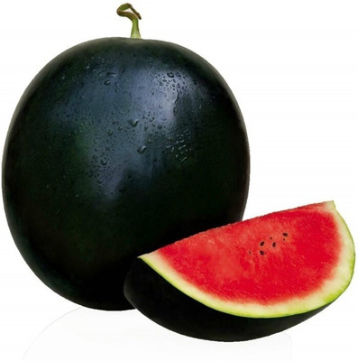 the green dotcom Watermelon Sugar Baby Seed(105 per packet)