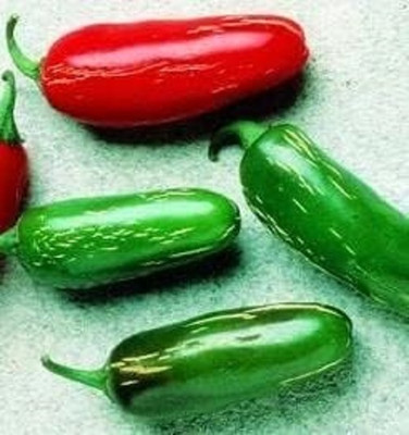 Biosnyg High Germination Tam Jalapeno Pepper Vegetable Seeds for Garden-(2000 Seeds) Seed(2000 per packet)