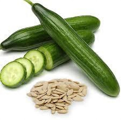 SKDIYA Cucumber Seed(50 per packet)