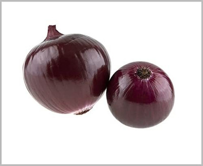 Qualtivate ICRA-5A Black Onion / Kale Pyaz ke Beej Seed(500 per packet)