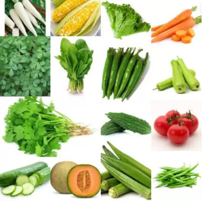 GROW-N-KNOW 15 Varieties of Vegetable & Fruits Seeds for Kitchen Garden - 200+ Seed(20 per packet)