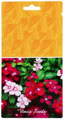 Qualtivate XL-15 Vinca Dwarf Mix Flower Seed Seed(100 per packet)