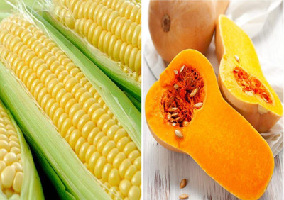 KNESSiN Sweet Corn and Squash Waltham Butternut[400 Seeds] Seed(400 per packet)