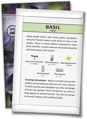 WILLVINE Non-GMO Hybrid Opal Basil Seeds Seed(5000 per packet)