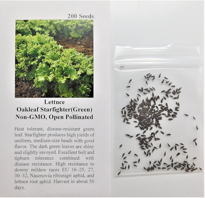 Qualtivate GBPT-8A Lettuce Oakleaf Starfighter Seed(300 per packet)