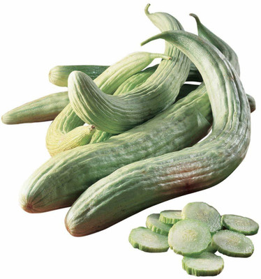 CYBEXIS XLR-91 - Kakdi / Long Melon - (1350 Seeds) Seed(1350 per packet)